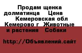 Продам щенка долматинца  › Цена ­ 4 000 - Кемеровская обл., Кемерово г. Животные и растения » Собаки   